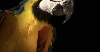 Ferme pédagogique du Domaine de la Ganne