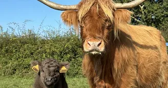 Ferme pédagogique du Domaine de la Ganne