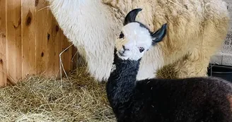 Ferme pédagogique du Domaine de la Ganne
