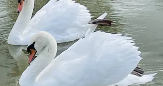 Ferme pédagogique du Domaine de la Ganne