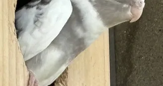 Ferme pédagogique du Domaine de la Ganne