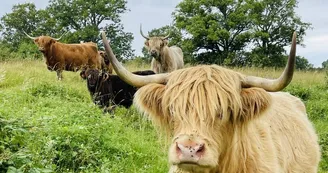 Ferme pédagogique du Domaine de la Ganne