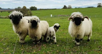 Ferme pédagogique du Domaine de la Ganne