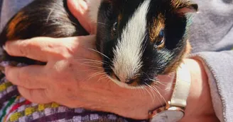 Ferme pédagogique du Domaine de la Ganne