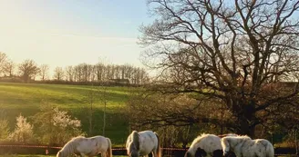 Ferme pédagogique du Domaine de la Ganne
