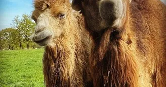 Ferme pédagogique du Domaine de la Ganne