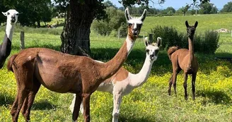 Ferme pédagogique du Domaine de la Ganne