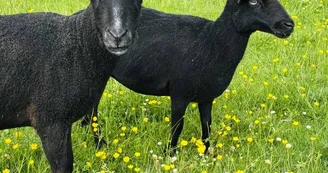 Ferme pédagogique du Domaine de la Ganne