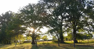 Domaine des Faverôts "Esprit Nature"