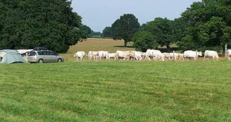 Mini camping Le Cœur du Moulin