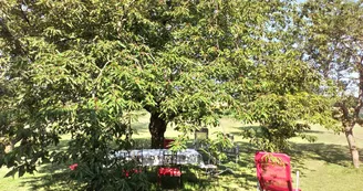 Gite La Cerisaie - Louchy-Montfand