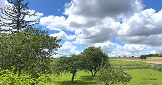 Jardin, Gîte La Cerisaie, Louchy-Montfand dans l'Allier en Auvergne