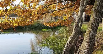 Domaine des Mijarniers à MONTBEUGNY dans l'Allier en Auvergne.