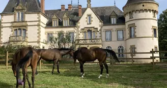 Château de tout y fault