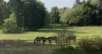 Château de tout y fault