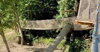 Pont suspendu - Plaisir des Cimes