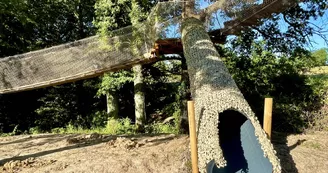 Pont suspendu - Plaisir des Cimes