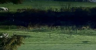 Château de Verseilles