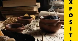 Sorcières et Guérisseurs à travers les Plantes