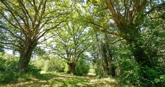 Camping - Domaine de la Faix