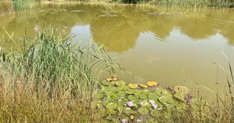 Camping - Domaine de la Faix