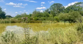 Camping - Domaine de la Faix