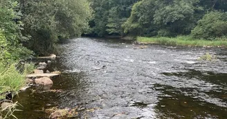 Domaine Les Echaloux