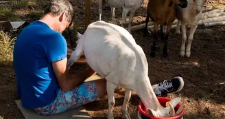 Camping La Ferme de l'Aventure