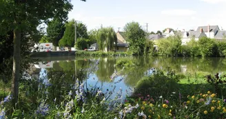 ACCAM49-le-guédeniau-3