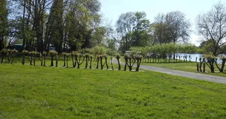 aire-de-camping-car-chenillé-changé-49-accam-photo4