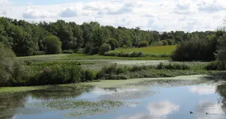 Boire rôme Champtocé4