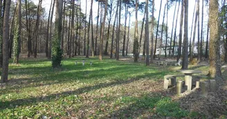 aire-de-la-foret-de-combree-49-accam-photo2