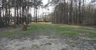 aire-de-la-foret-de-combree-49-accam-photo3