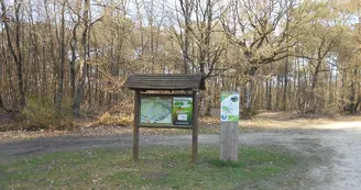 aire-de-la-foret-de-combree-49-accam-photo4