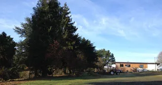 camping-hautes-herbes-le-longeron-sevremoine-anjou-vendee-nantes-cholet