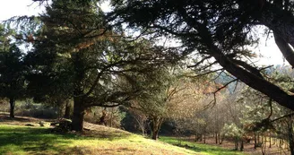 camping-hautes-herbes-le-longeron-sevremoine-anjou-vendee-nantes-cholet