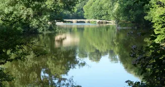 camping-hautes-herbes-le-longeron-sevremoine-anjou-vendee-nantes-cholet