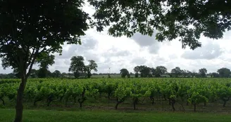 aire-camping-car-moulin-guillou-sm-tillieres-osezmauges-anjou©ZenonMoreau (2)