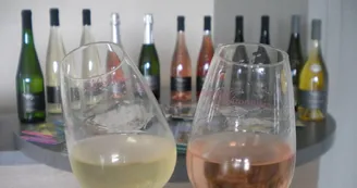 Domaine-de-la-Gironnière-vigneron-Mauges-sur-Loire-MSL©J.Subileau4