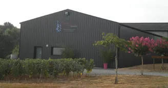 Domaine-de-la-Gironnière-vigneron-Mauges-sur-Loire-MSL©J.Subileau5