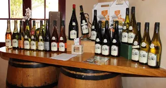 Chateau-de-Putille-vigneron-la Pommeraye-vins-anjou-ôsezMauges-Msl©ChateaudePutille