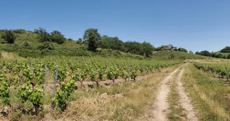 vue de l'emplacement
