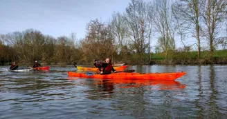 Location canoës, paddles pédalos - Thorigné d'Anjou - LOI - 49 - Photo 2