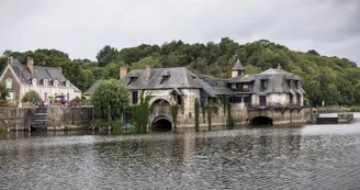 base-chenille-canalous-hlo-49-photo3