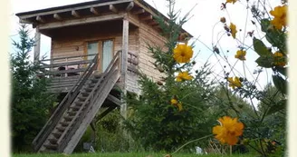 cabane chouanniere