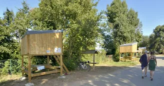 Campetoile---Flower-Offard-1200