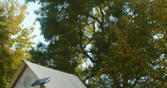 Au Bord de Loire - 2