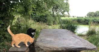 tiny-house-le-bourg-d'iré-49-hlo-photo14