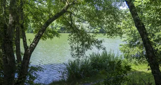 camping-coulvee-chemille-en-anjou