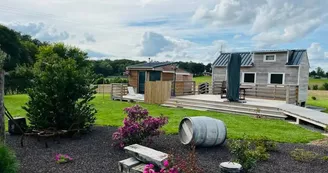 insolite-la-tiny-doré-le-puiset-doré